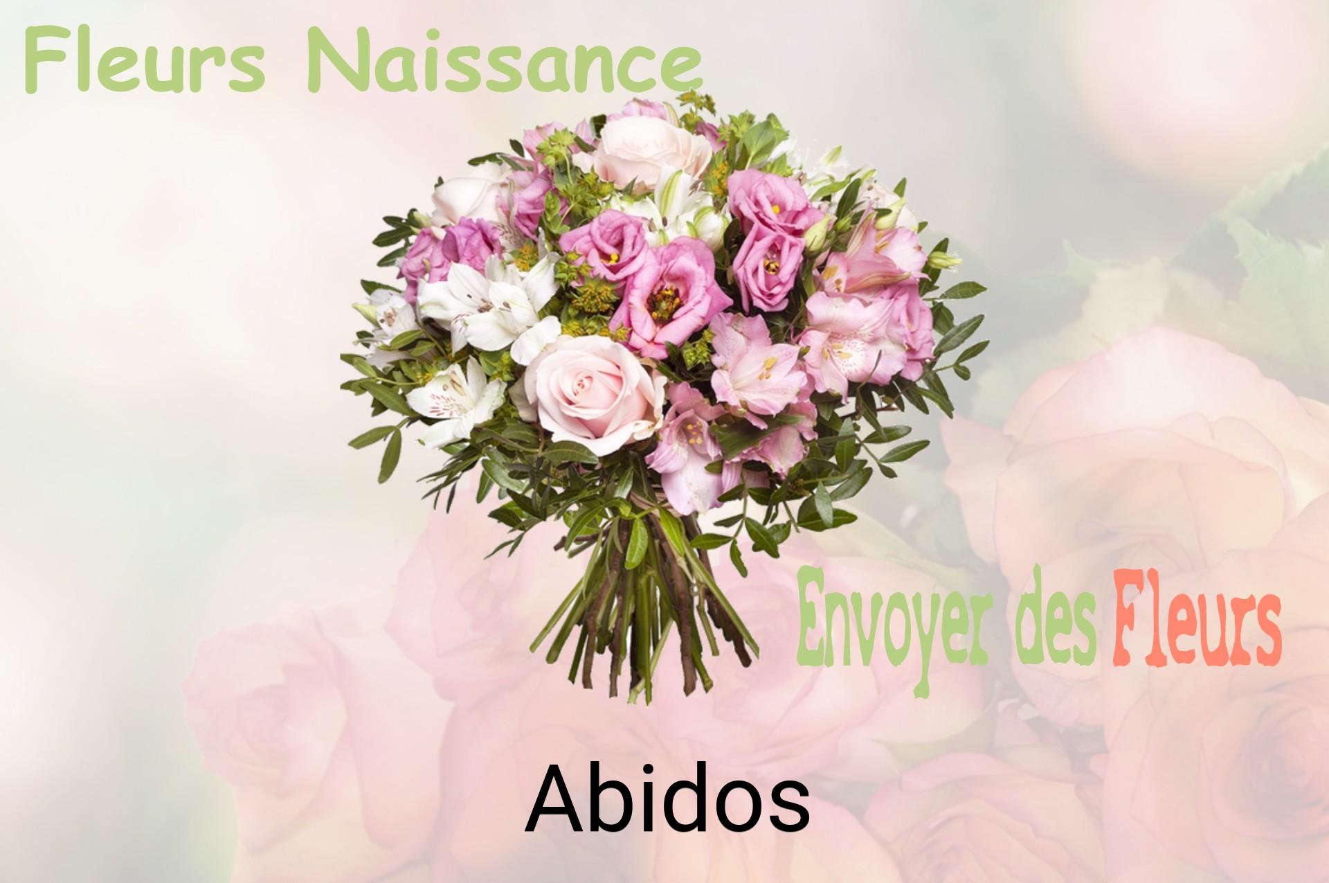 Bouquet de fleurs de naissance livré à Abidos